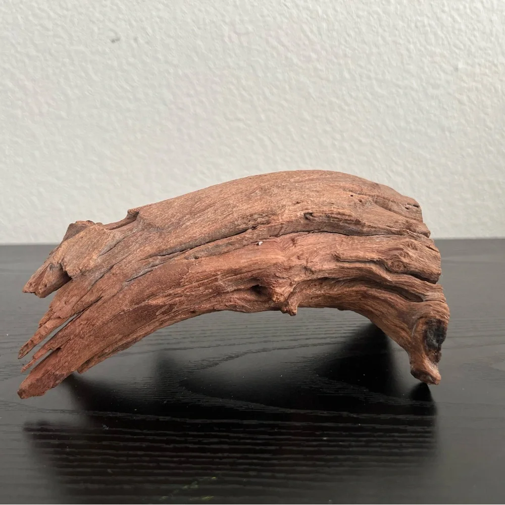 Natural Driftwood Sculpture